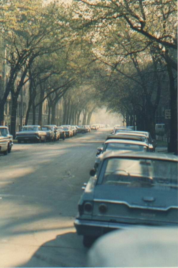 XX CHUCKMAN_APRIL_24_1967_78TH_STREET_LOOKING_WEST_FROM_COLFAX  78TH STREET - FURTHER EAST - LOOKING BACK WEST - TAKEN APRIL 24 1967 ON A VISIT - ONE OF THE FEW IMAGES I HAVE OF THE CATHEDRAL-EFFECT OF THE NOW-GONE ELM TREES - A JOHN CHUCKMAN PHOTO