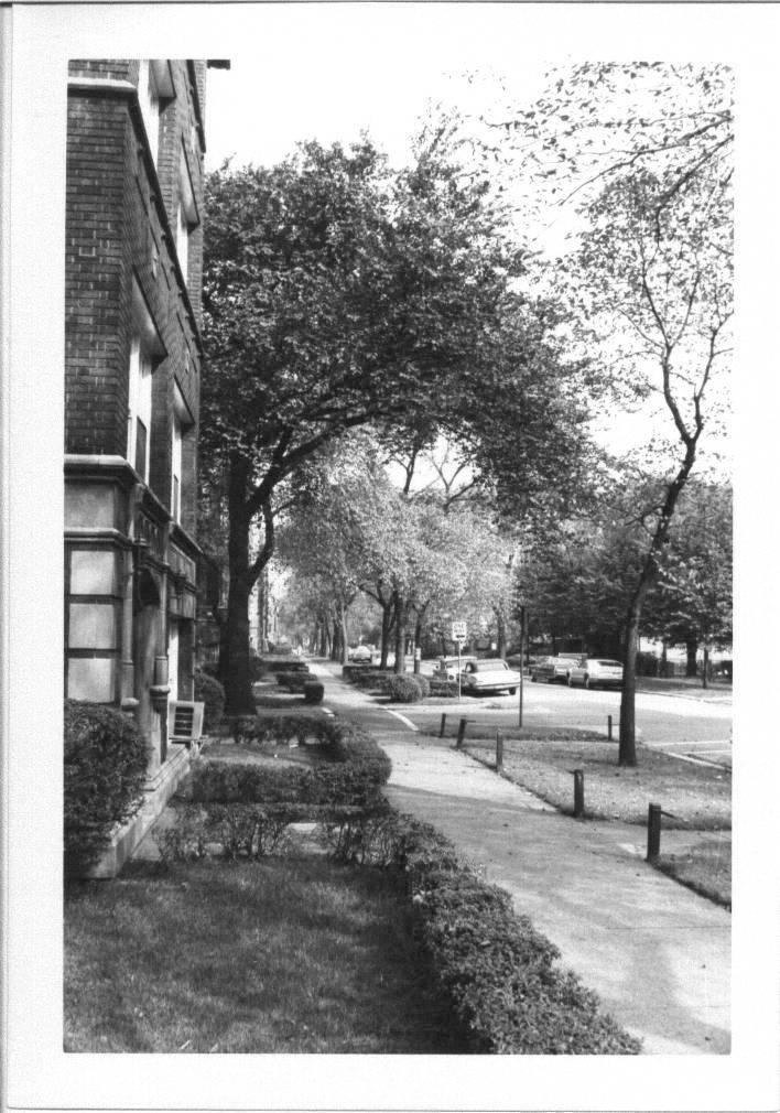 COLFAX AVE - LOOKING NORTH FROM 7802 COLFAX - A BEAUTIFUL CITY STREET - TAKEN OCT 11 1968 ON A VISIT - A JOHN CHUCKMAN PHOTO